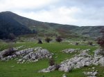 aralar00016.jpg