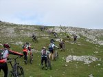 aralar00021.jpg