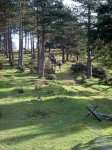 aralar00043.jpg