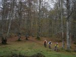 DSC04288.JPG