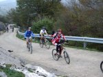 IMGP0789-1000.jpg