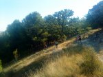 DSC00743.jpg