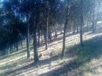 DSC00744.jpg