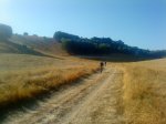 DSC00734.jpg