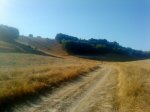 DSC00733.jpg