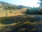 DSC00732.jpg