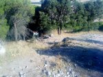 DSC00745.jpg