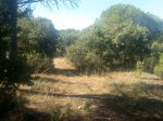 DSC00757.jpg