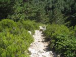 IMG_7624.jpg