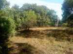 DSC00756.jpg