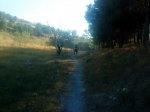 DSC00731.jpg