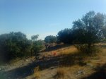 DSC00742.jpg