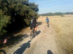 DSC00739.jpg