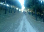 DSC00729.jpg