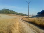 DSC00736.jpg