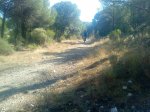 DSC00763.jpg