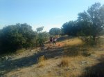 DSC00741.jpg