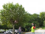 carrera hondarribia 2010 066.jpg