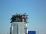 Foto1.JPG
