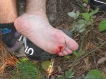 IMG_1269.jpg