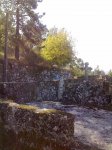 12092010281.jpg