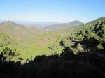 IMG_0881.JPG