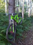 IMG00097-20100909-1930.jpg