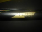 B.orbea 011.jpg