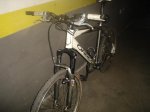 B.orbea 013.jpg