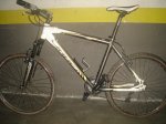 B.orbea 009.jpg