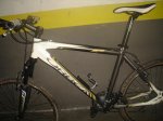 B.orbea 012.jpg