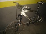 B.orbea 010.jpg