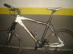 B.orbea 008.jpg