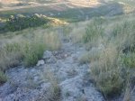 IMG00017-20100907-1947.jpg
