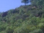 IMG00007-20100904-1106.jpg