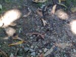 13092010_012.jpg