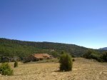 300820101058.jpg