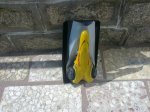 12092010166.jpg
