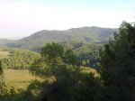 13092010072.jpg