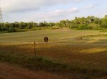04082010059.jpg