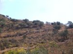 SANY0833.jpg