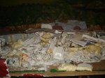 DSC06877.jpg