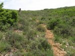 IMG_3446.jpg