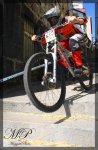 IMG_1352.jpg