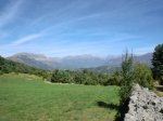 CIMG0567.jpg