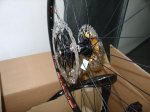 DSC00944.jpg
