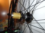 DSC00938.jpg