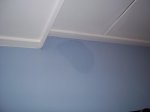 100_0131.jpg
