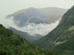 CIMG0606.jpg