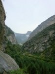 CIMG0597.jpg